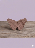 Mariposa
