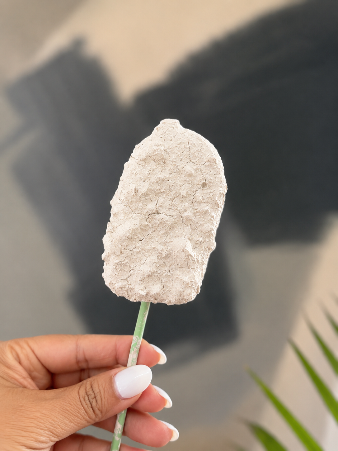 Paleta Morita