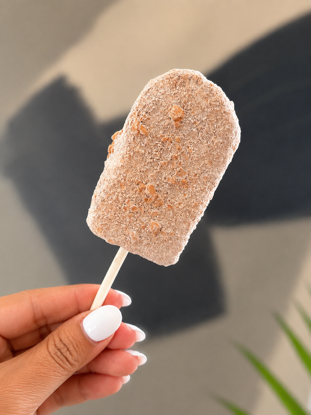 Paleta Geminis