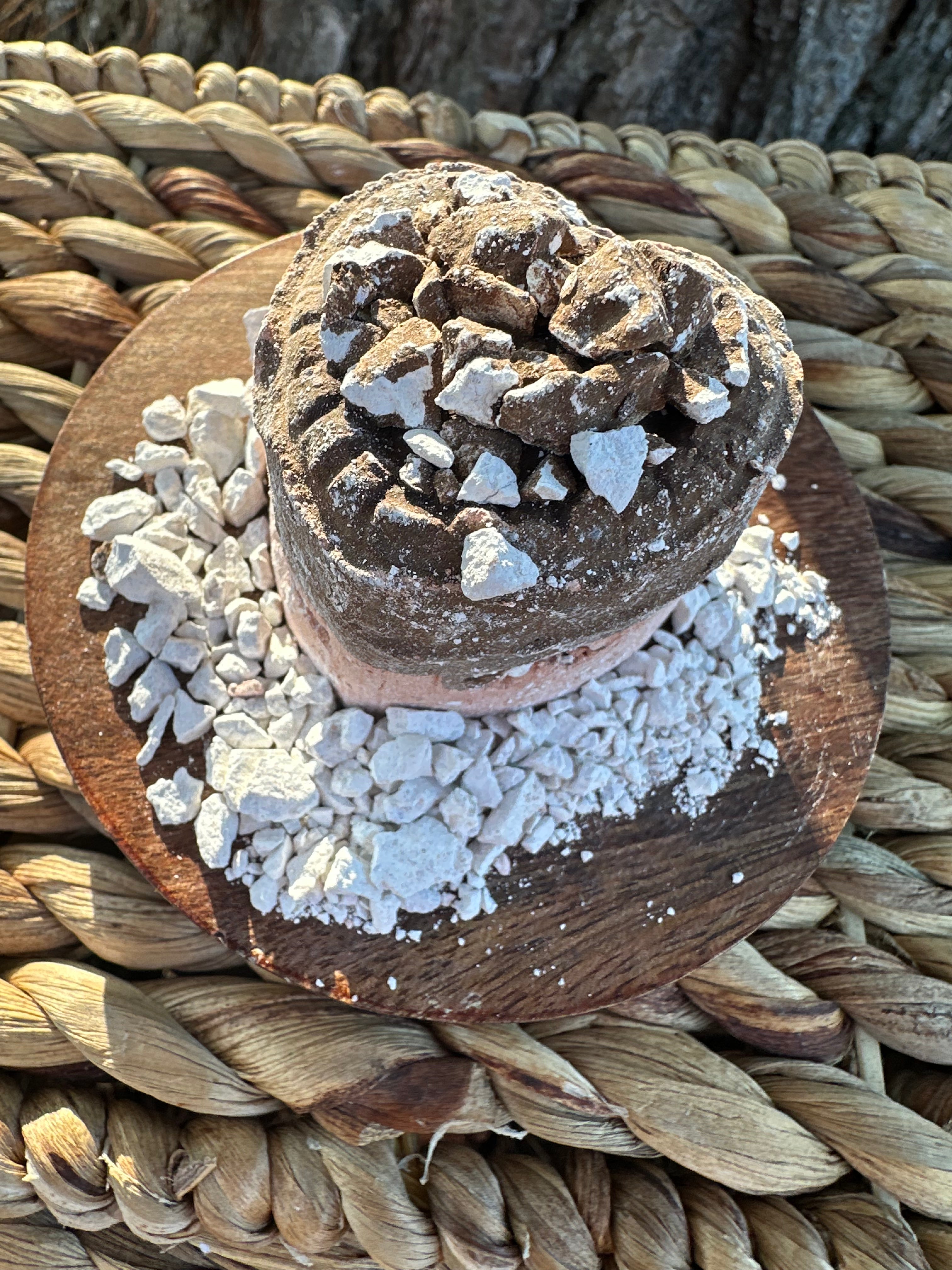 Galleta napolitano