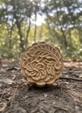 Galleta amanecer