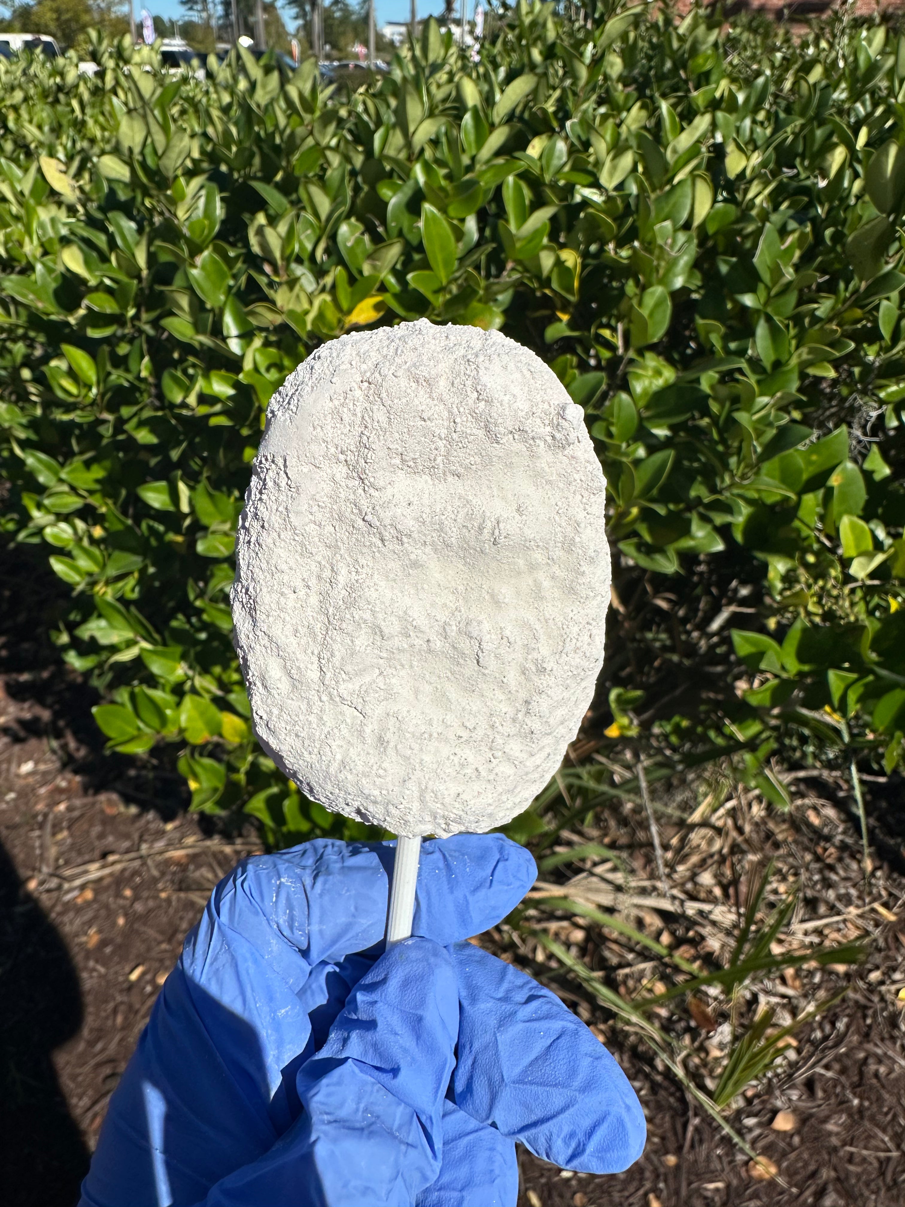 Paleta cookies and cream